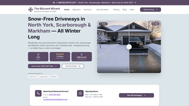 Blizzard Wizard snow removal service website designed by ByteZero — homepage