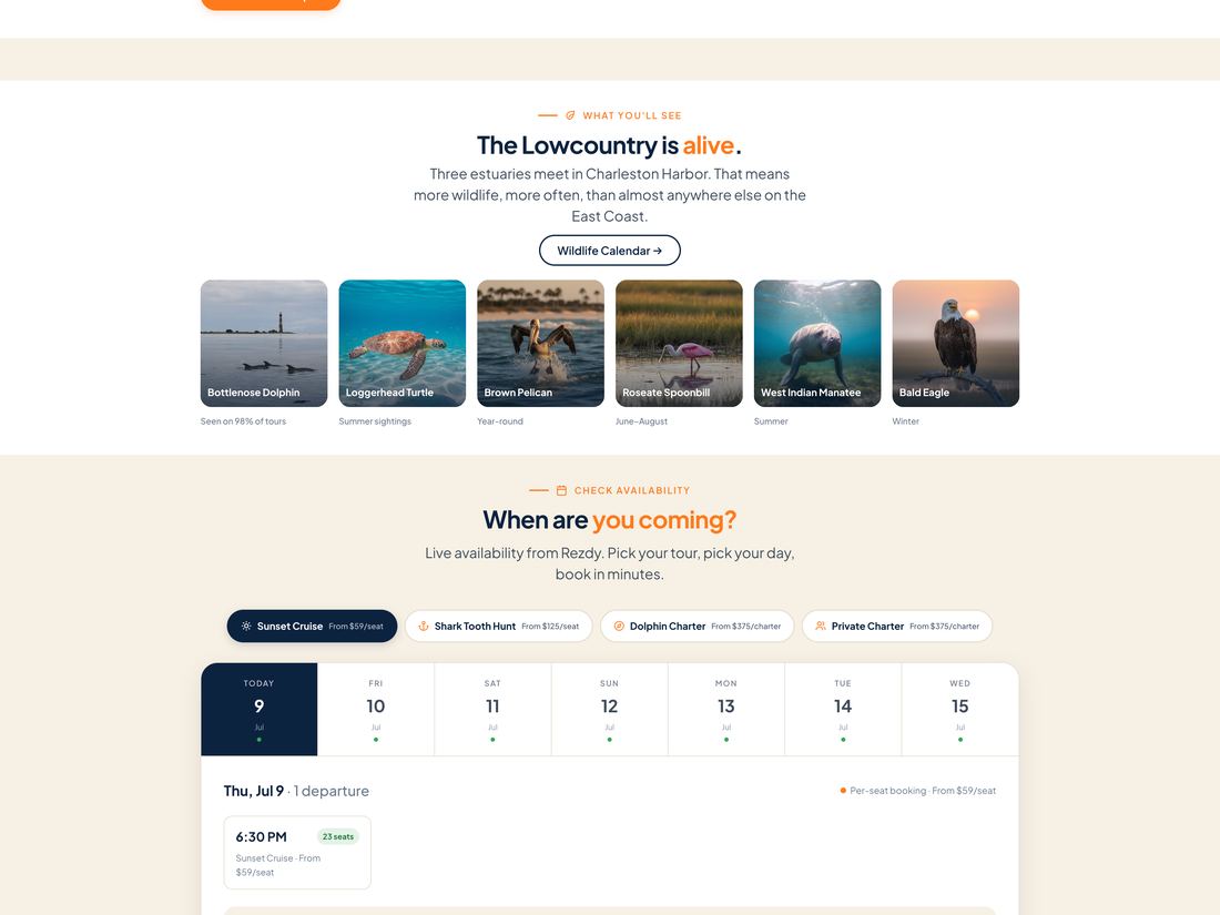 Charleston Shark Teeth Hunting tour company website designed by ByteZero — inside page